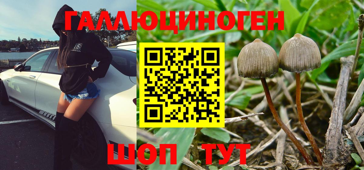 Галлюциногенные грибы Magic Shrooms  Вход с VPN  Галлюциногенные грибы мухоморы  Орск 